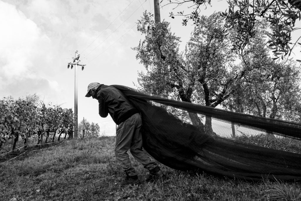 gabrieletartoni_portfolio_08_radices