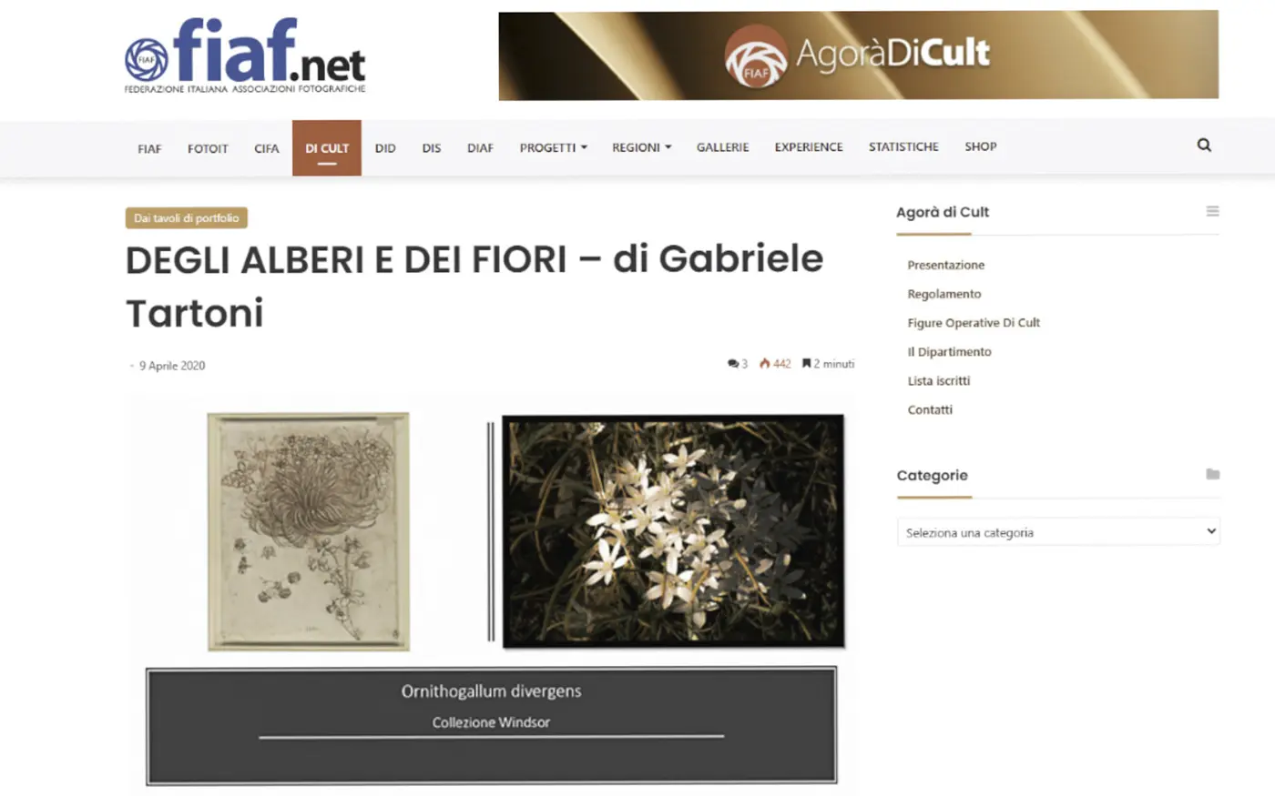 gabrieletartoni_pubblicazioni_12